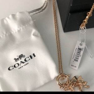 ISO new coach steggy charm/necklace or similar jewelry